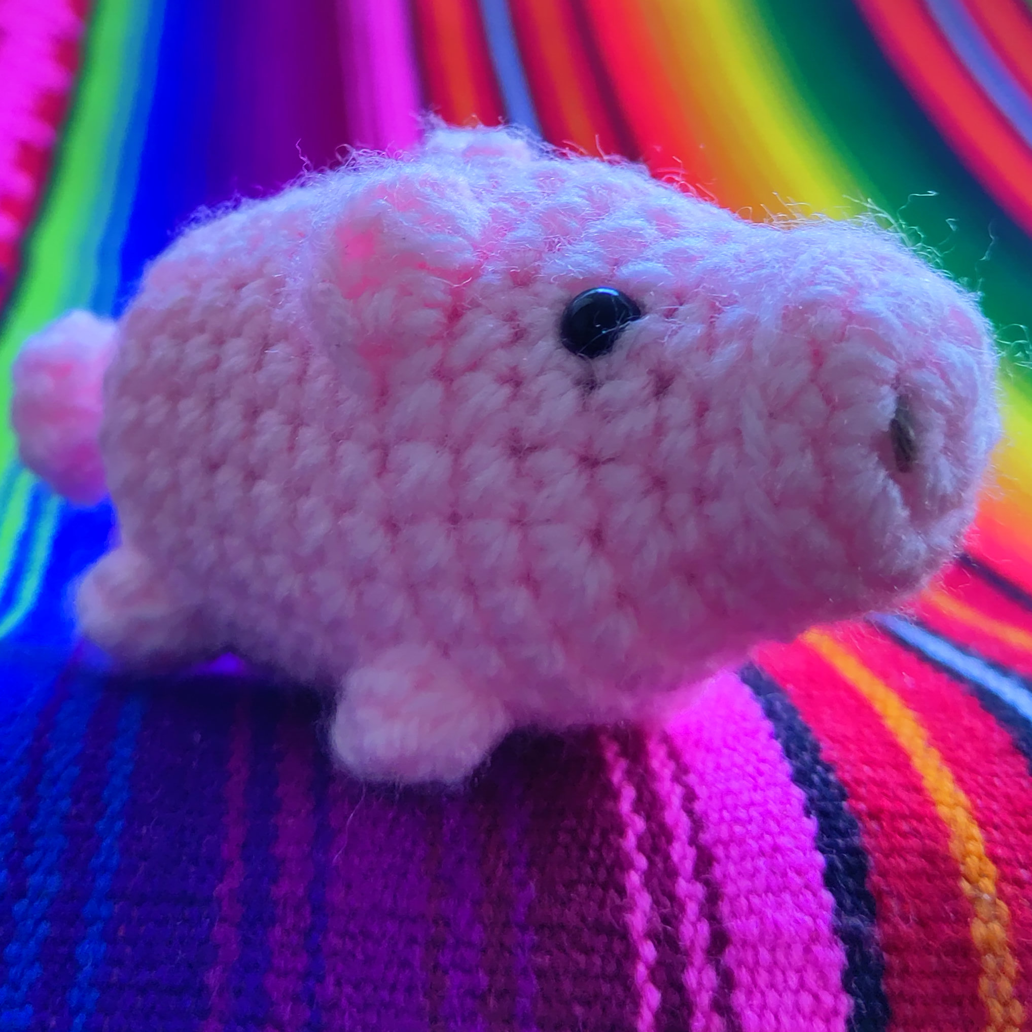 Haeckelschwein